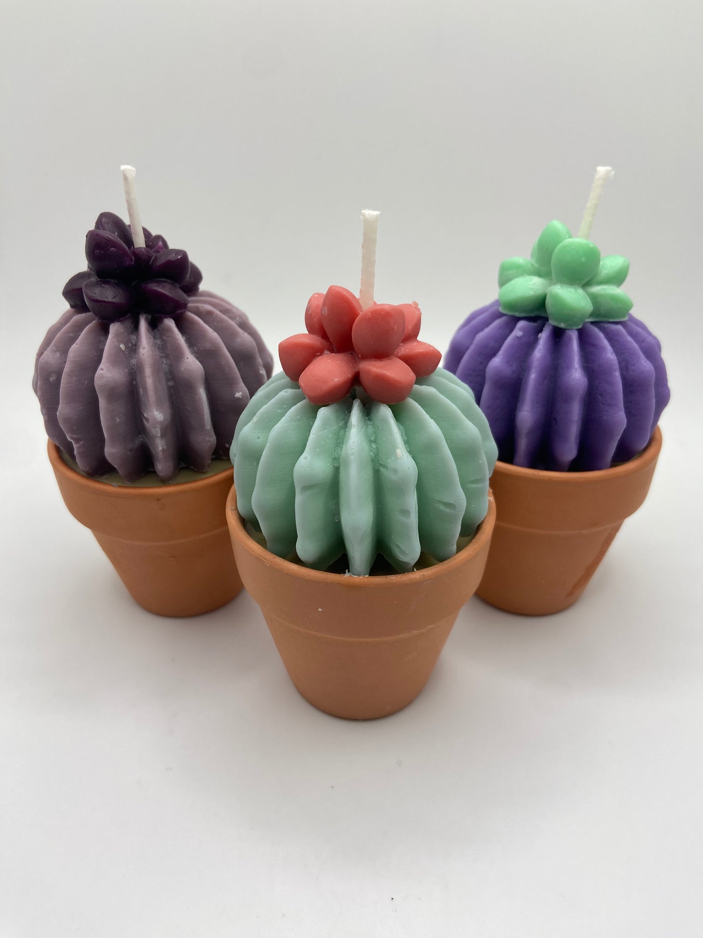 Mini Succulent Candle