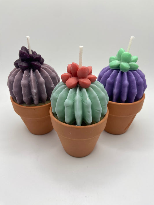 Mini Succulent Candle